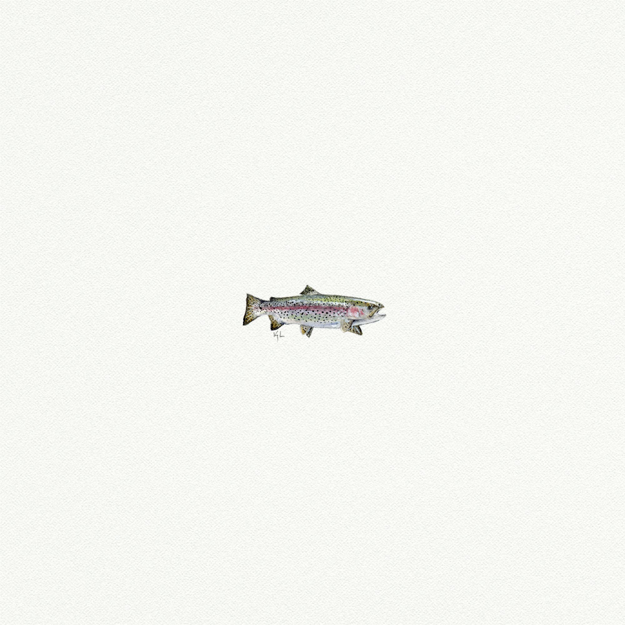 Rainbow Trout Miniature Watercolor Print - Box Turtle