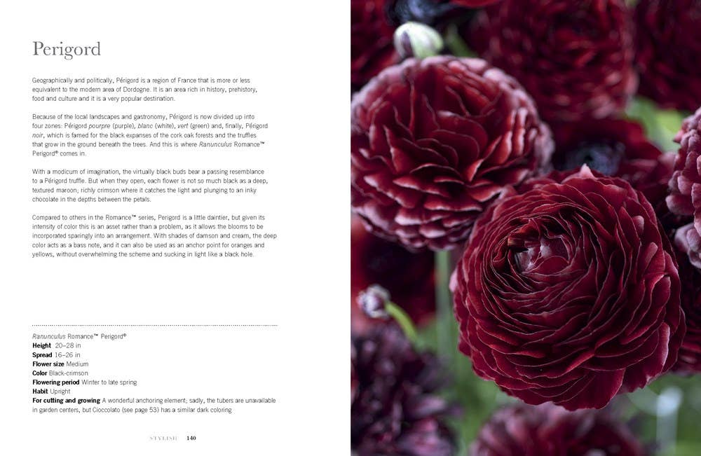 Ranunculus: Beautiful Varieties for Home and Garden - Box Turtle