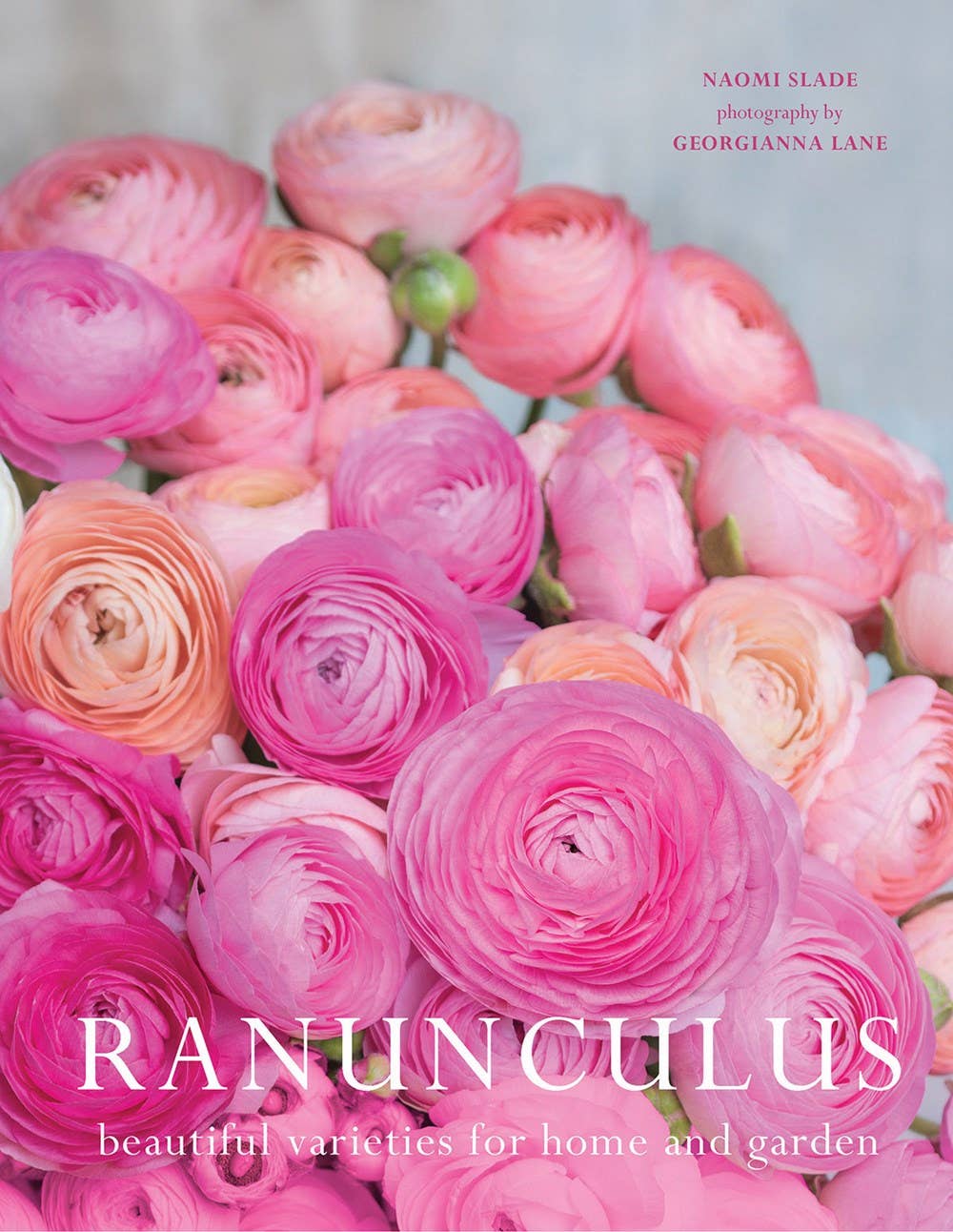 Ranunculus: Beautiful Varieties for Home and Garden - Box Turtle