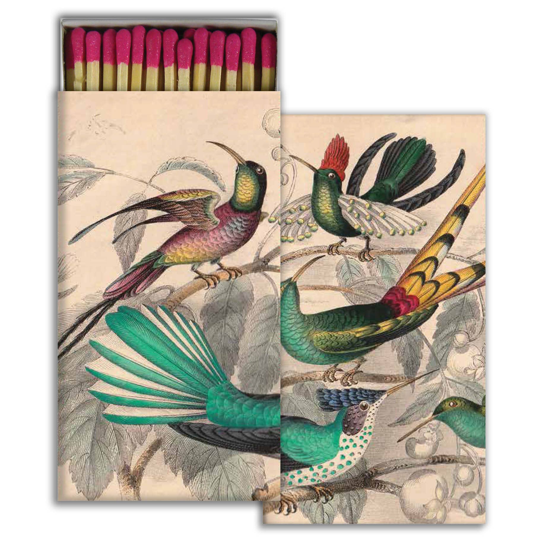 Rare Birds Matches - Box Turtle