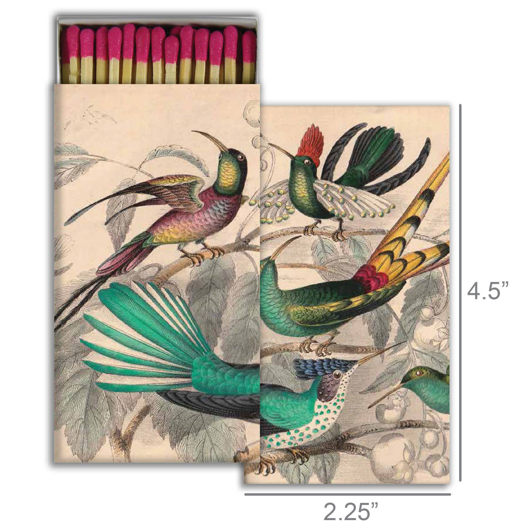 Rare Birds Matches - Box Turtle