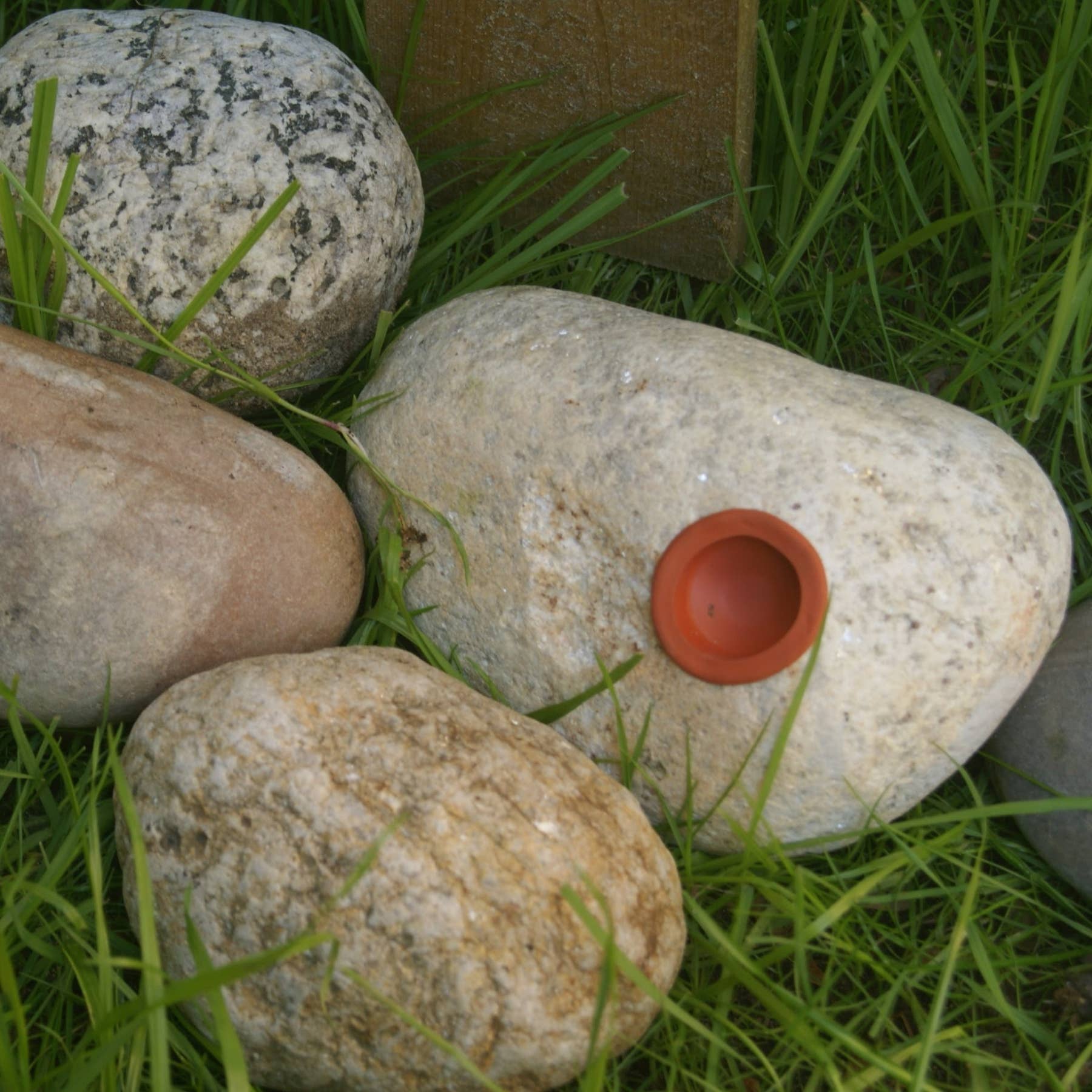 Real Rock Key Hiding Stone - Box Turtle