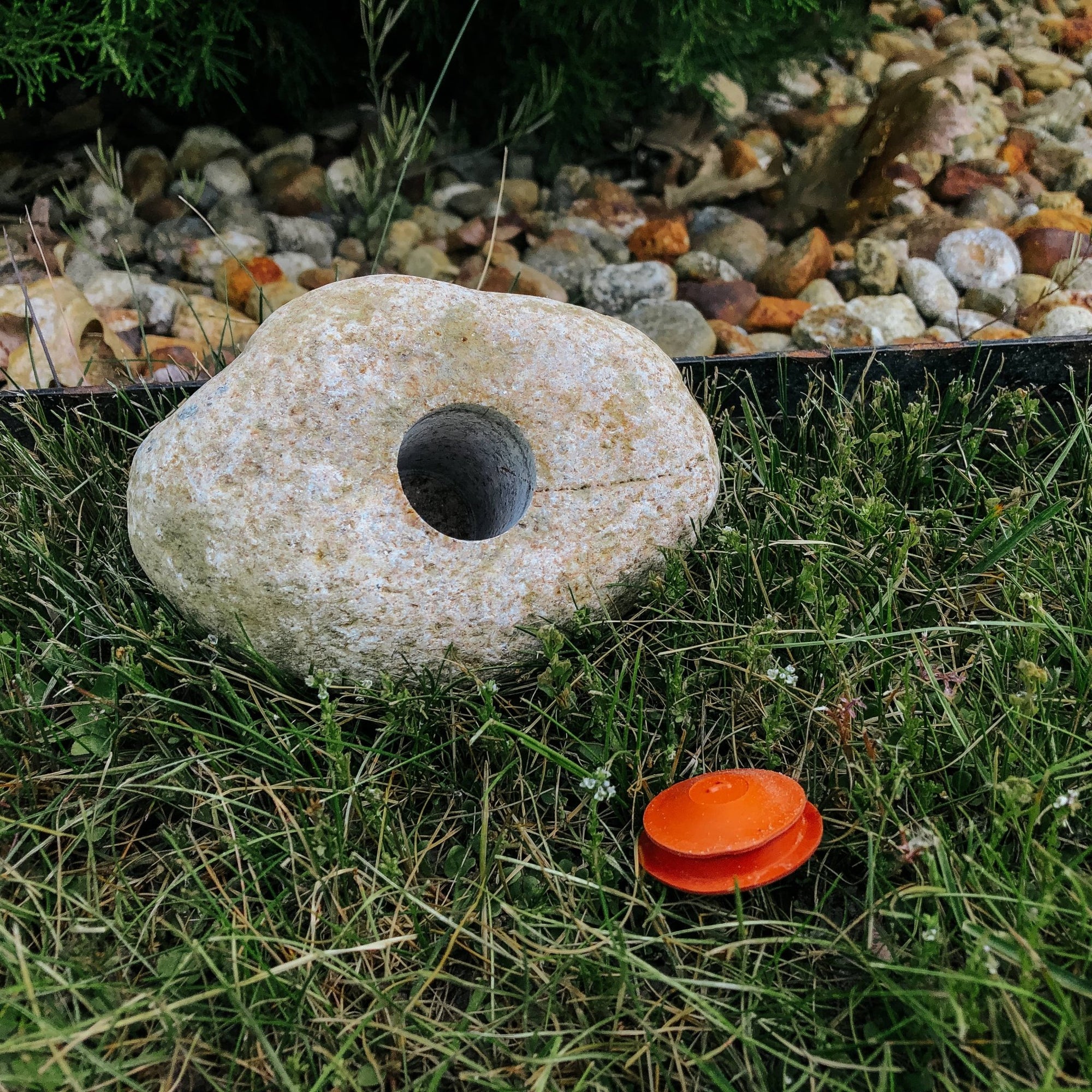 Real Rock Key Hiding Stone - Box Turtle