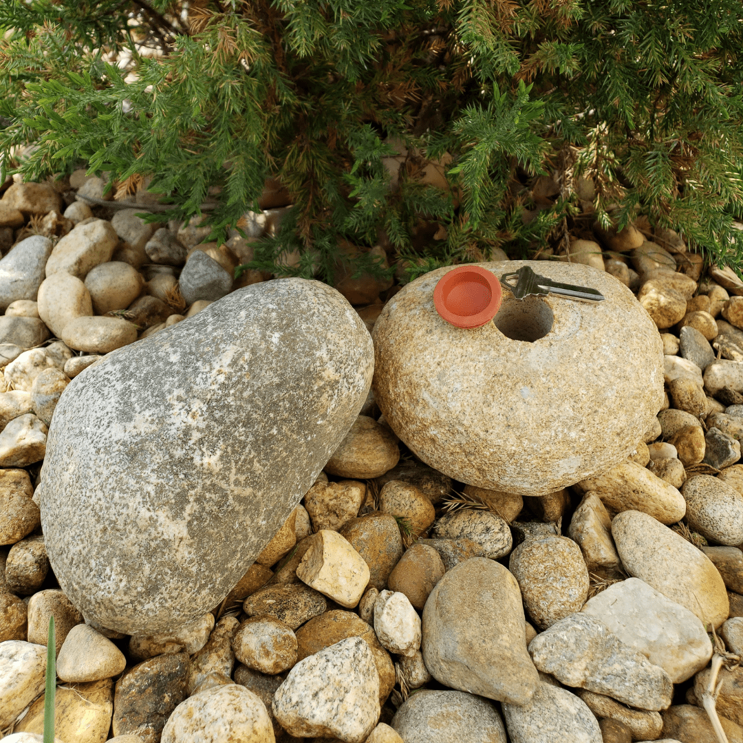 Real Rock Key Hiding Stone - Box Turtle