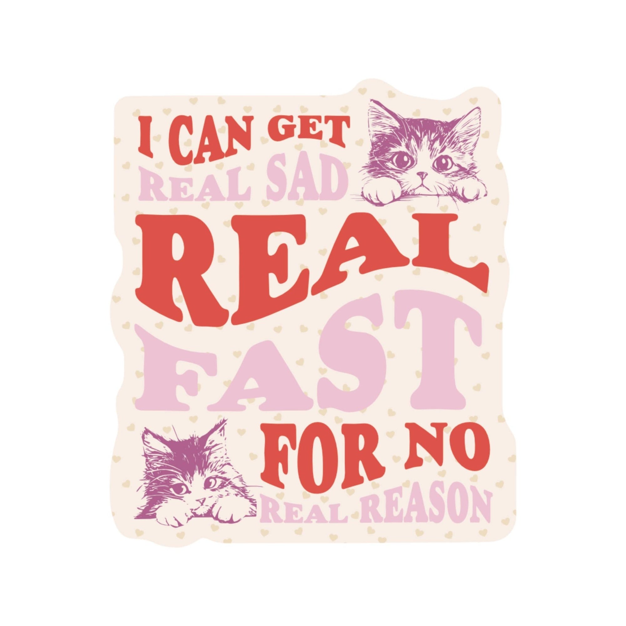 Real Sad Real Fast Kitty Cats Vinyl Sticker - Box Turtle
