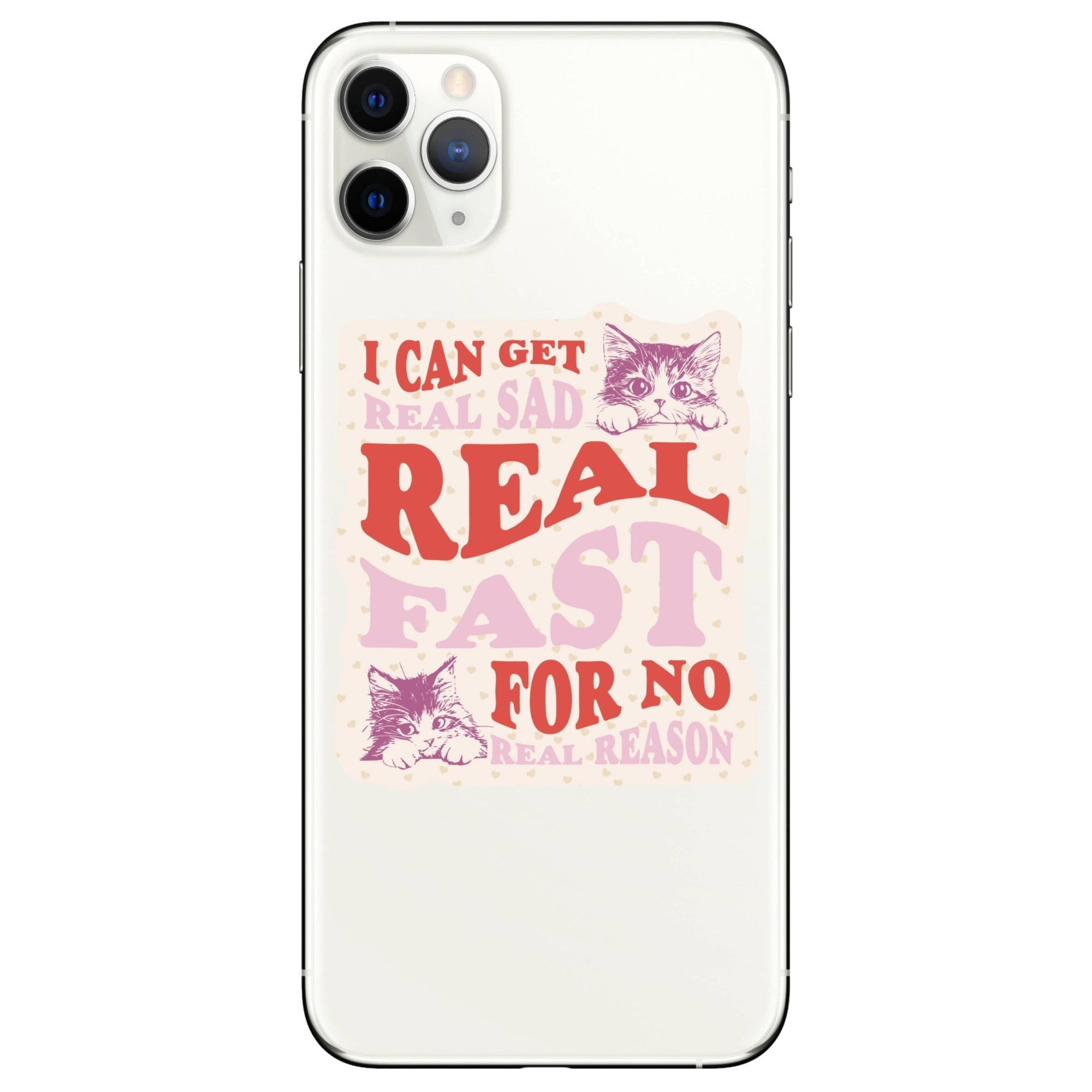 Real Sad Real Fast Kitty Cats Vinyl Sticker - Box Turtle