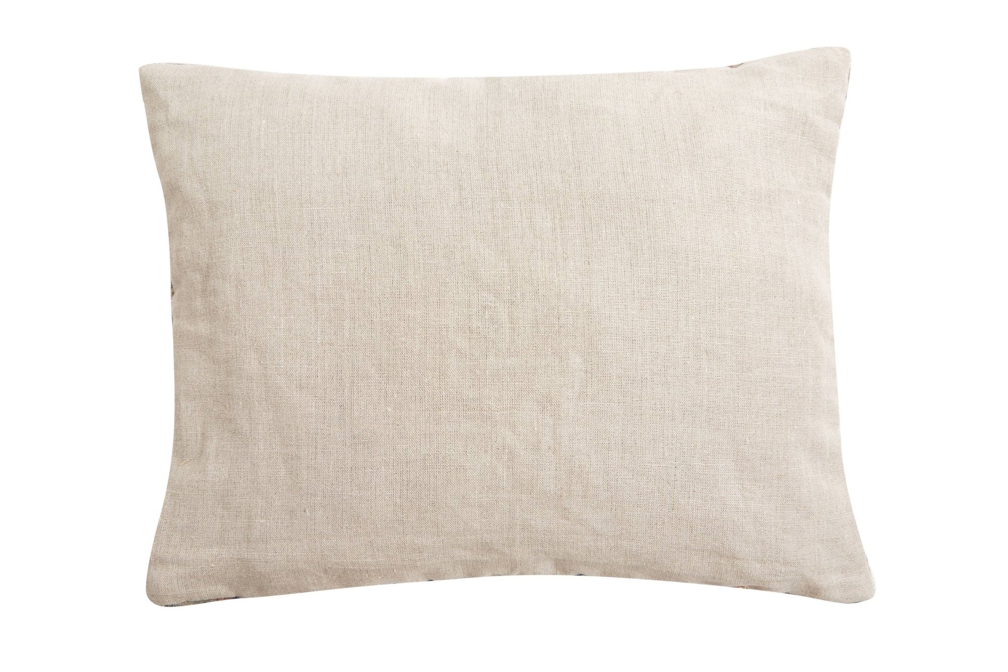 Rectangle Crane Velvet Pillow - Box Turtle