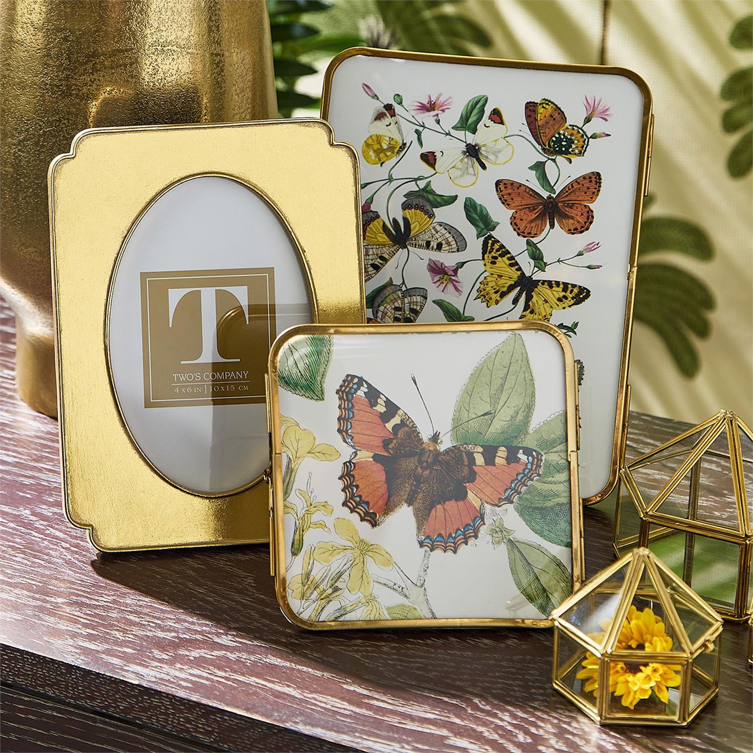 Rennaissance Gold Leaf Frame - Box Turtle
