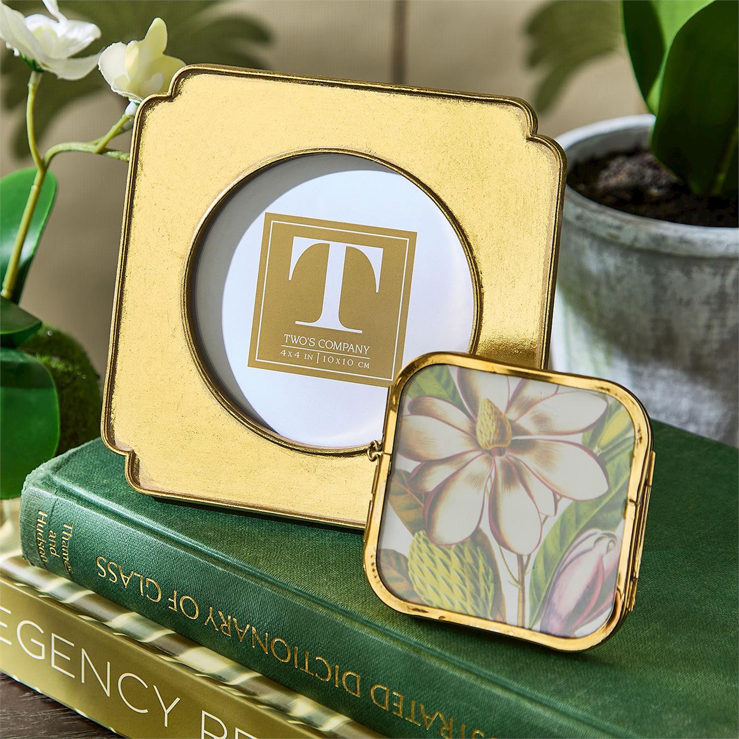 Rennaissance Gold Leaf Frame - Box Turtle