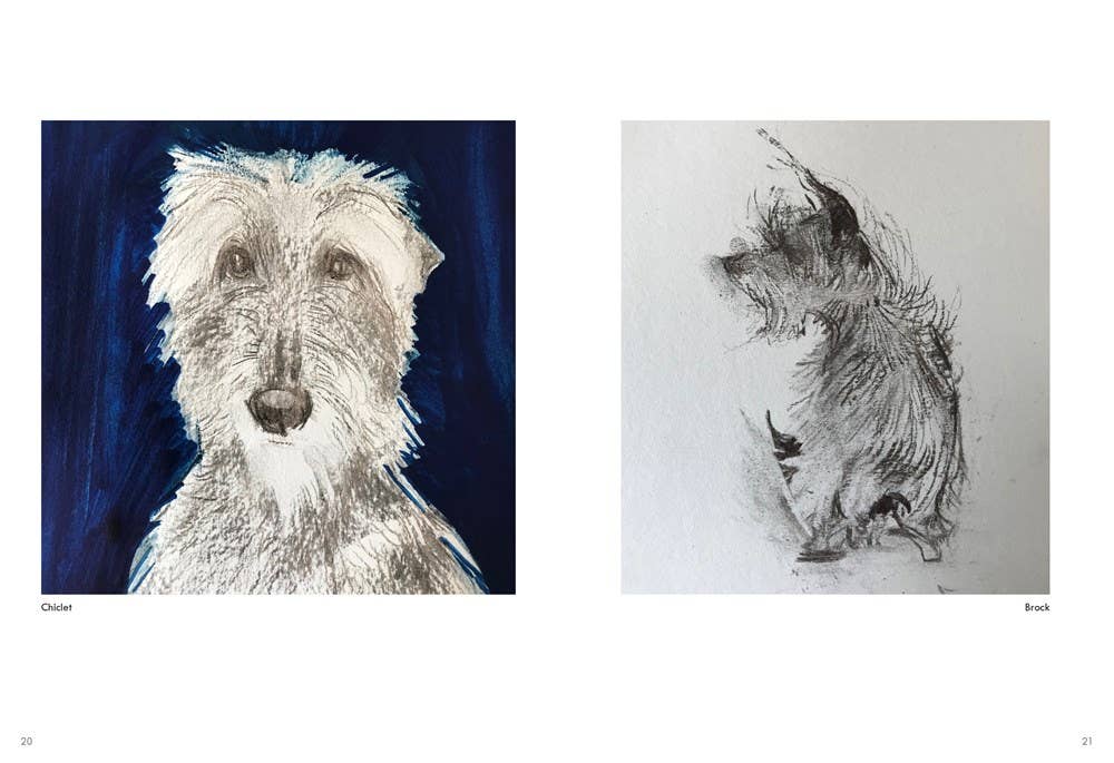 Rescue Dogs - Box Turtle