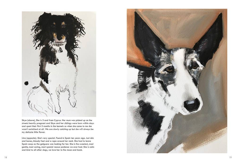 Rescue Dogs - Box Turtle