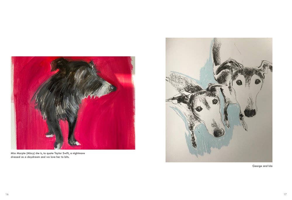 Rescue Dogs - Box Turtle