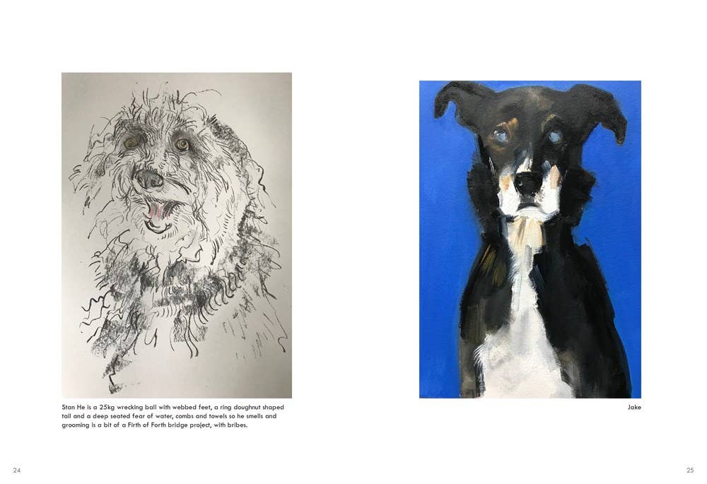 Rescue Dogs - Box Turtle