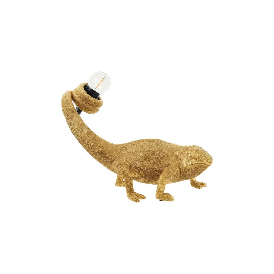 Resin Chameleon Table Lamp - Box Turtle