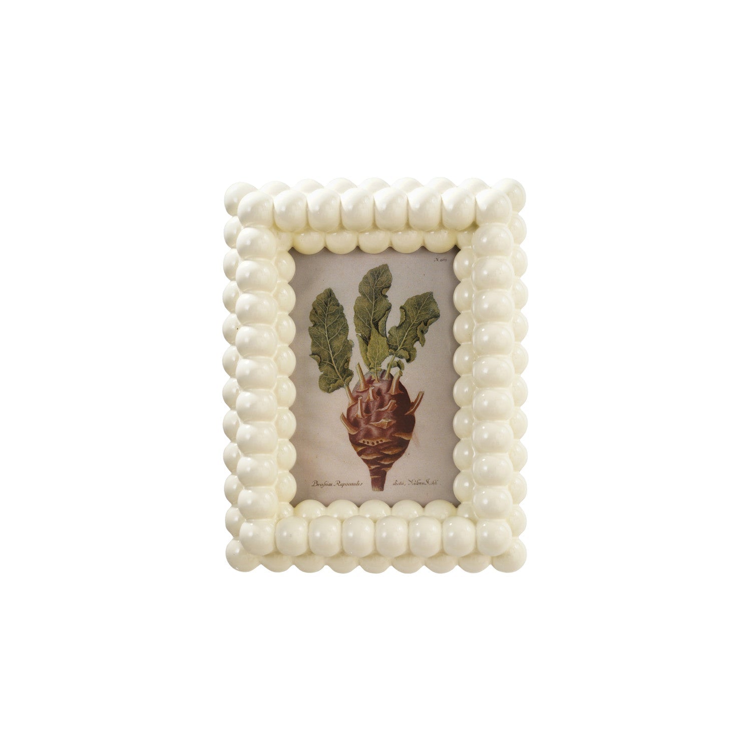 Resin & Glass Ball Photo Frame - Box Turtle