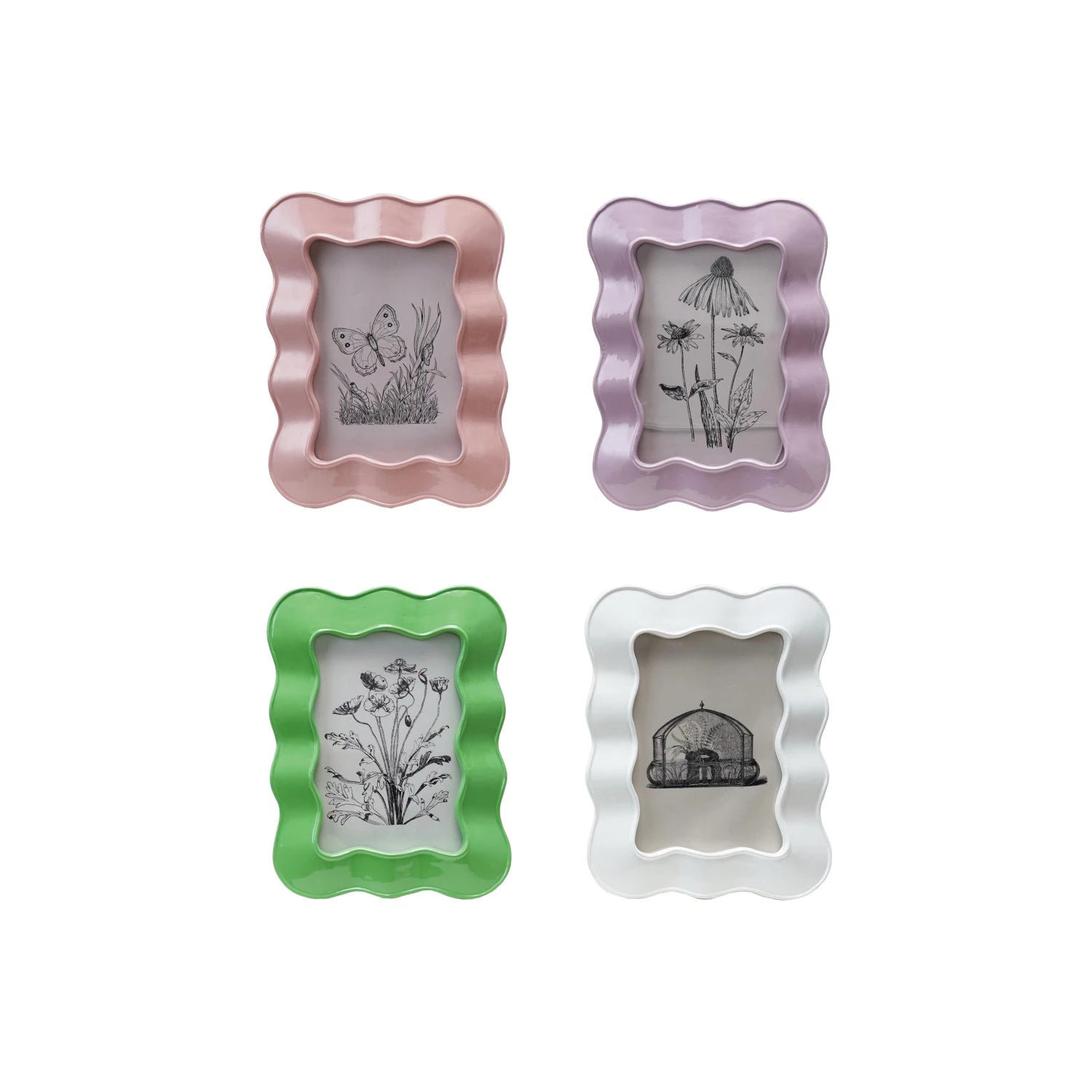 Resin Wavy Frame - Box Turtle
