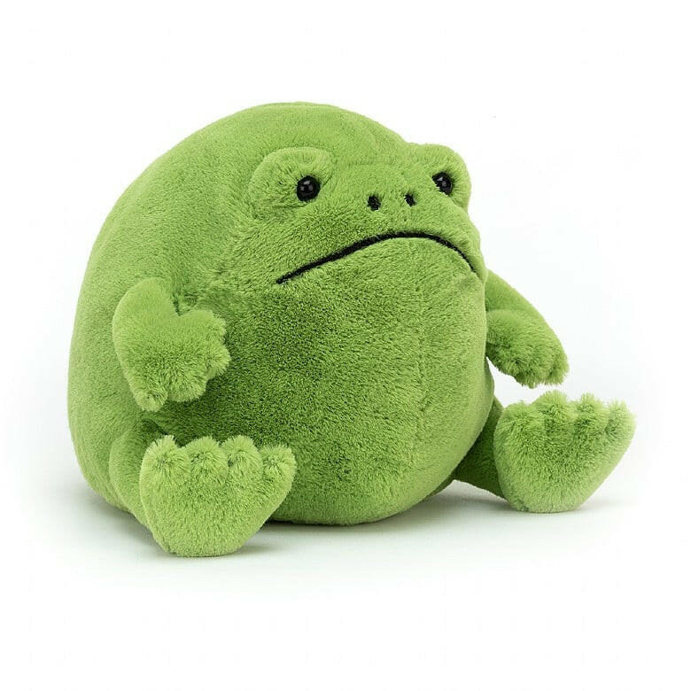 Ricky Rain Frog - Box Turtle