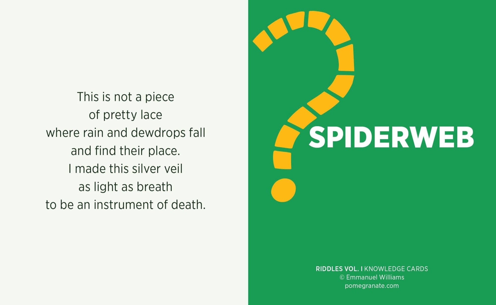 Riddles Vol. I Knowledge Cards - Box Turtle