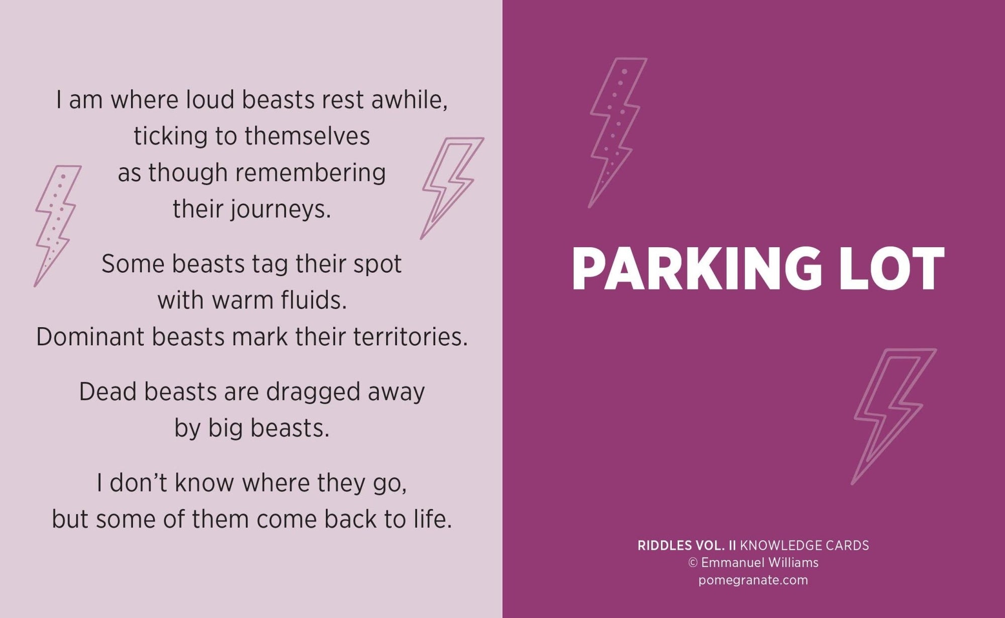 Riddles Vol. II Knowledge Cards - Box Turtle