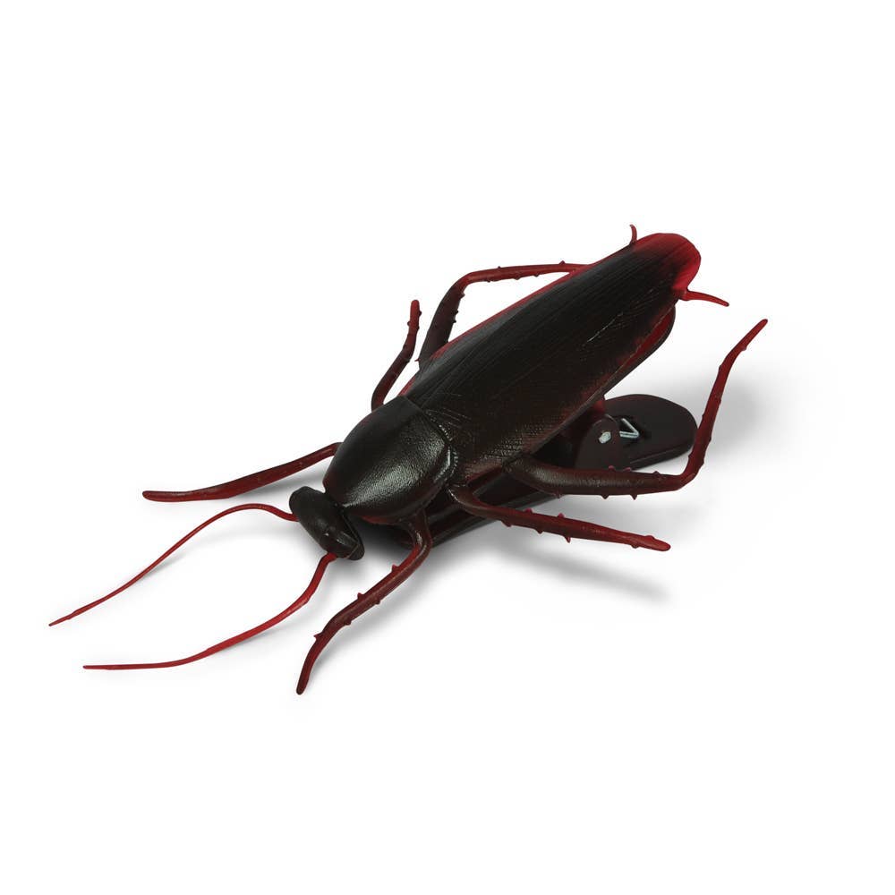 Roach Bag Clips - Box Turtle