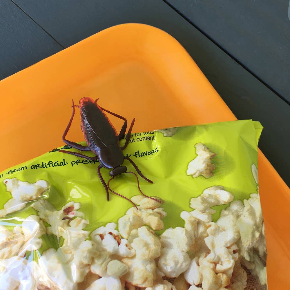 Roach Bag Clips - Box Turtle