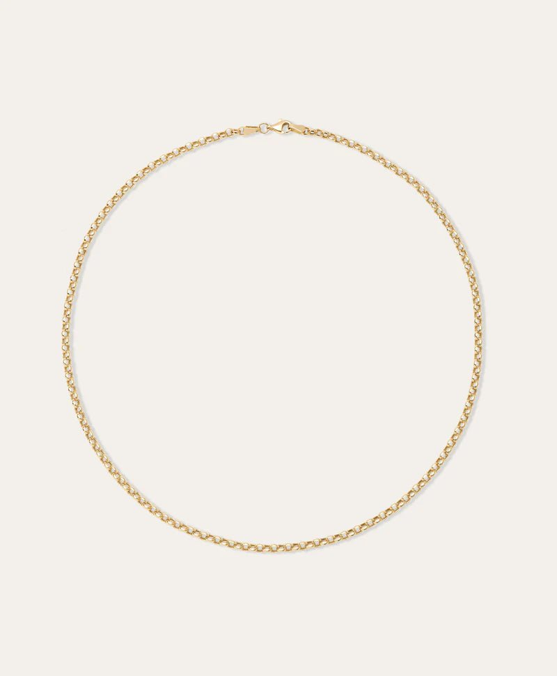 Rolo Chain Necklace - Box Turtle