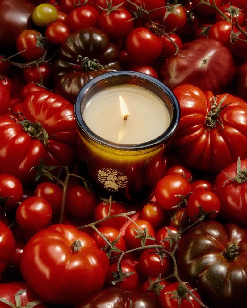 Roma Heirloom Tomato Candle - Box Turtle