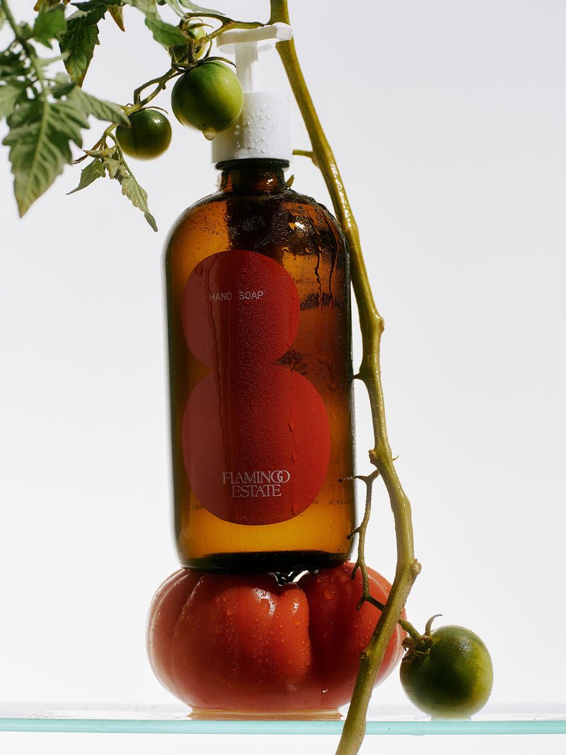 Roma Heirloom Tomato Hand Soap - Box Turtle