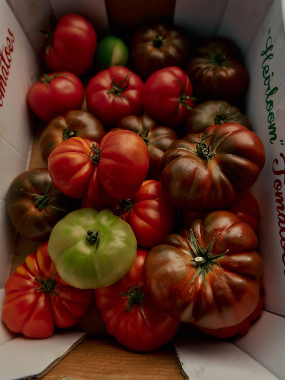 Roma Tomato Fragrance Oil - Box Turtle