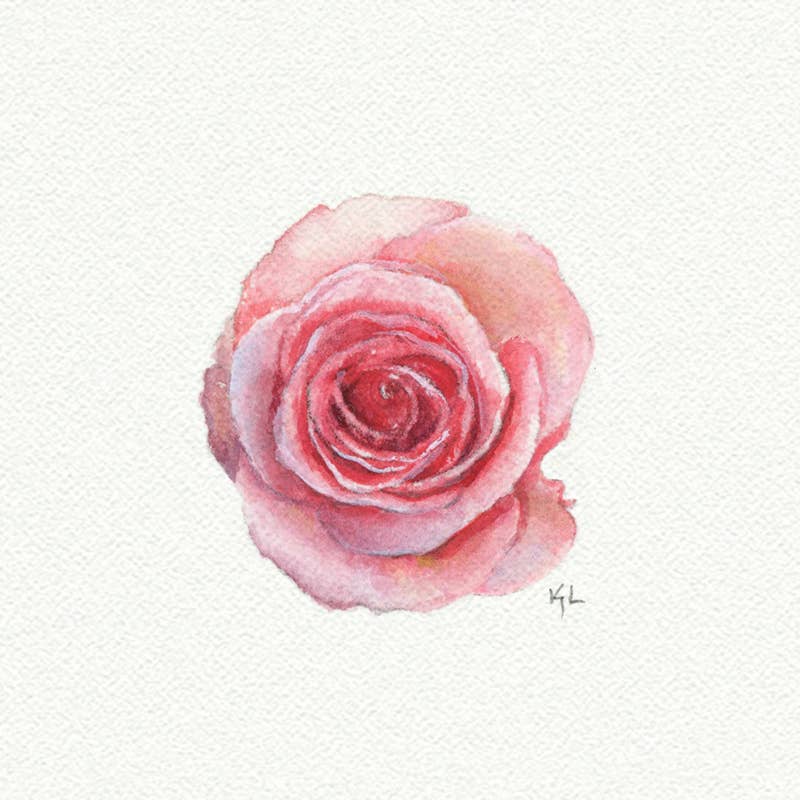 Rose Miniature Watercolor Print - Box Turtle