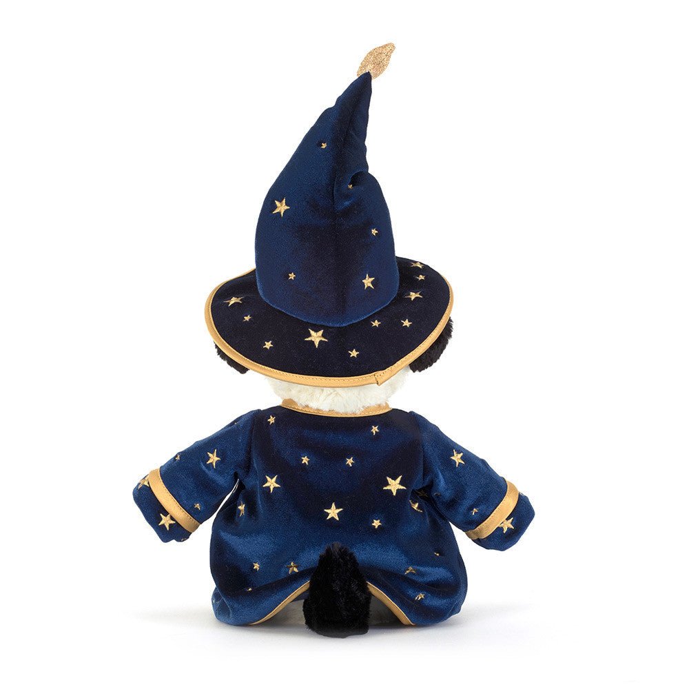 Rufferty Puppy Wizard Outfit - Box Turtle