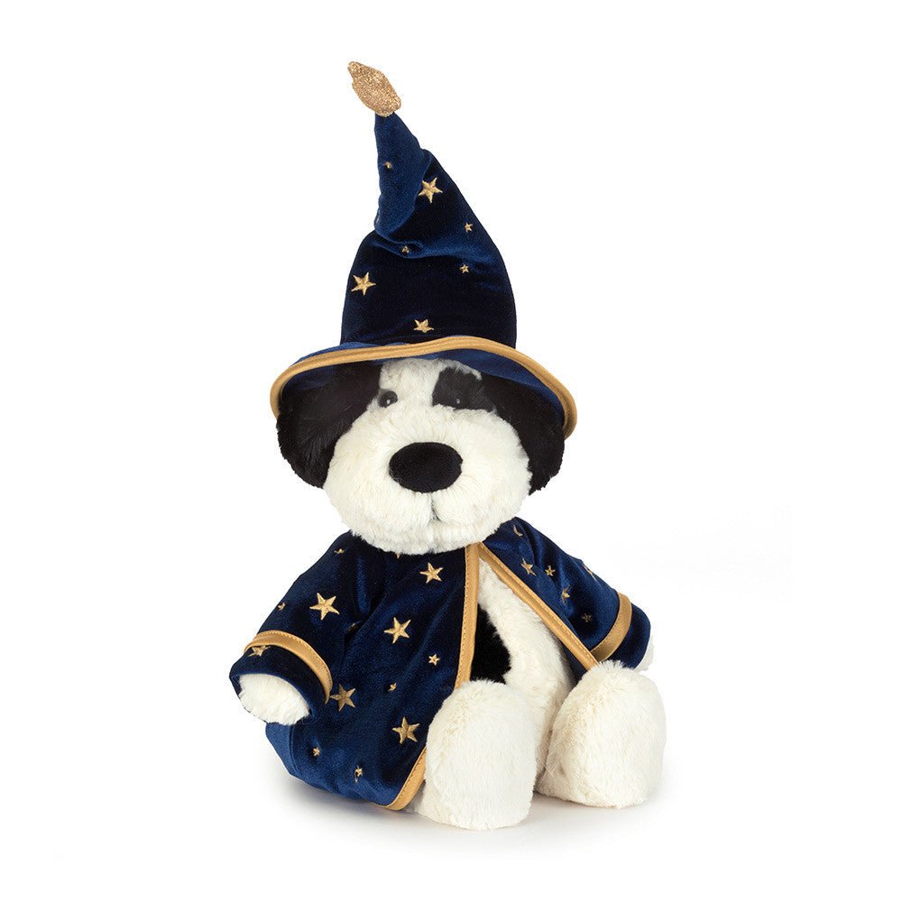 Rufferty Puppy Wizard Outfit - Box Turtle