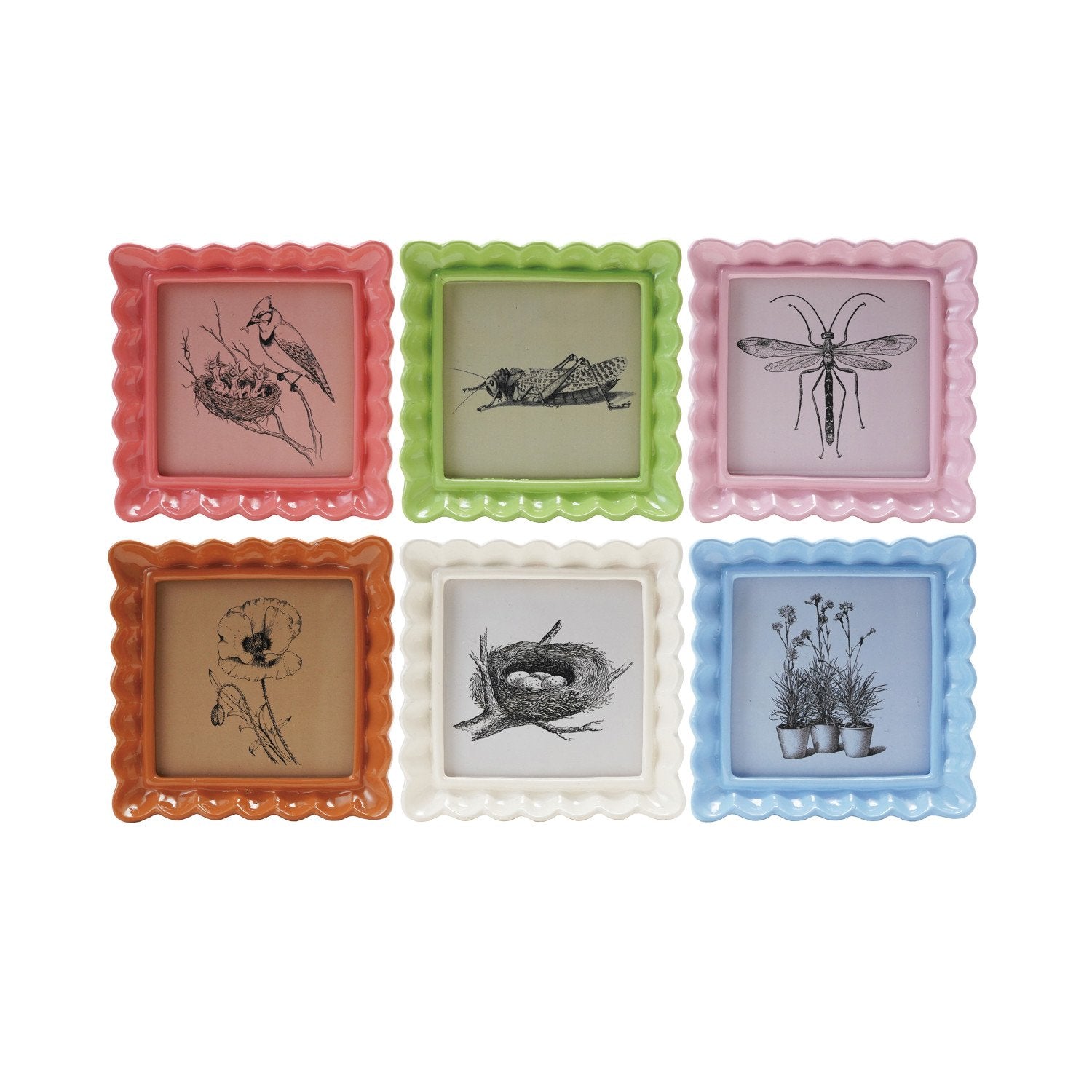 Ruffled Photo Frame - Box Turtle