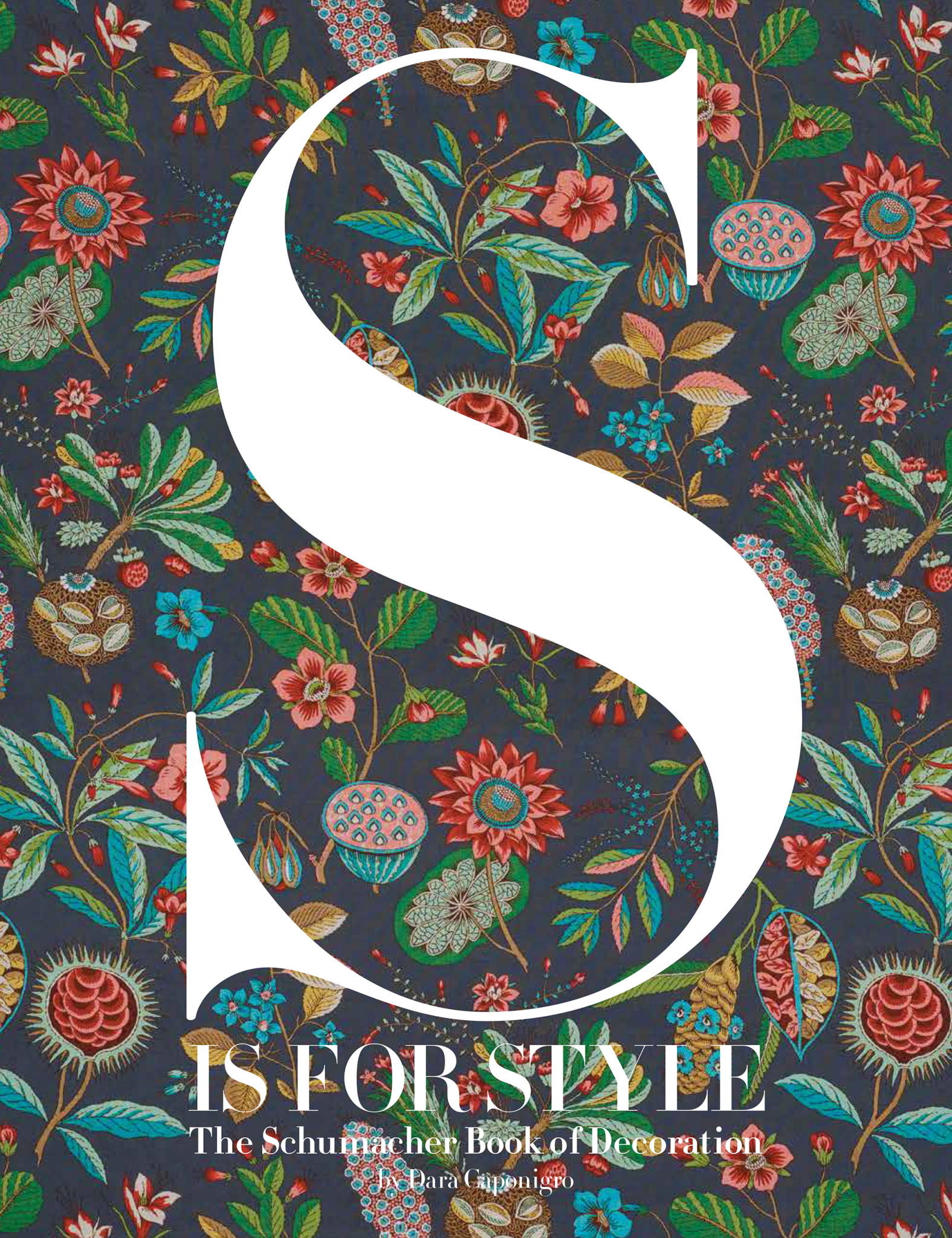 S is For Style - Box Turtle
