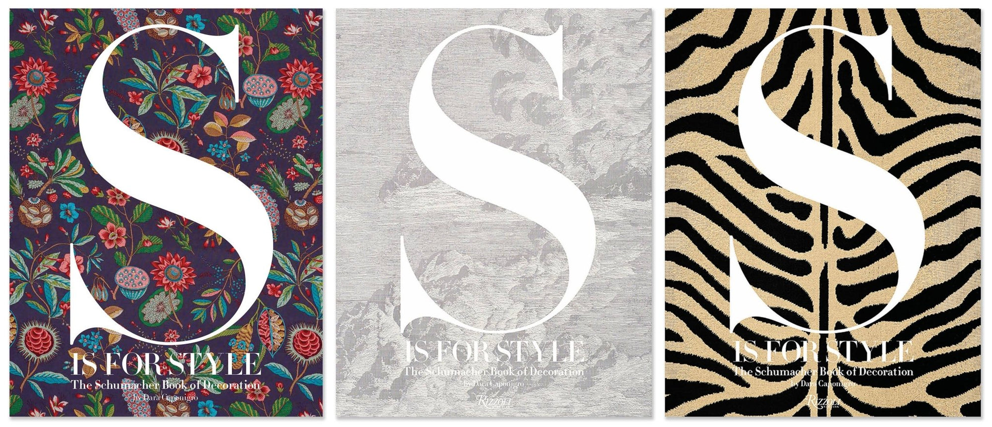 S is For Style - Box Turtle