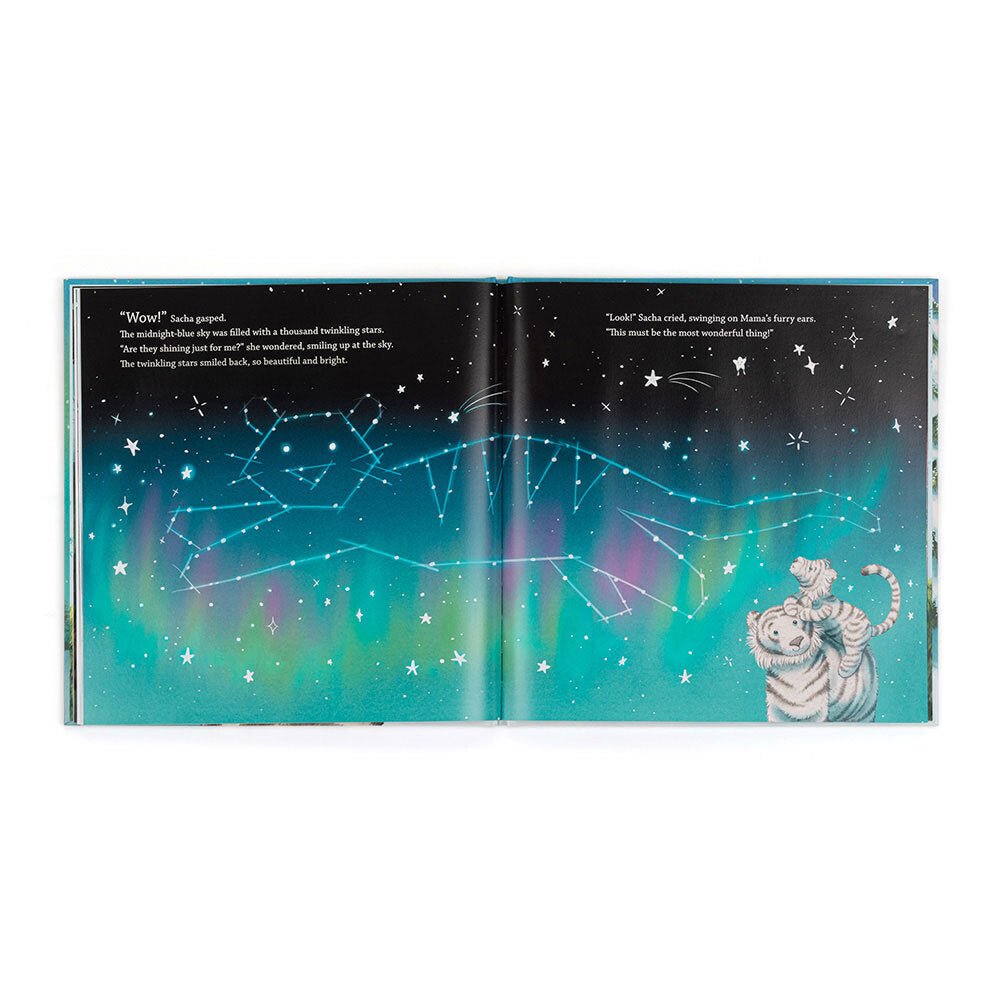 Sacha and the Most Wonderful Thing Book - Box Turtle