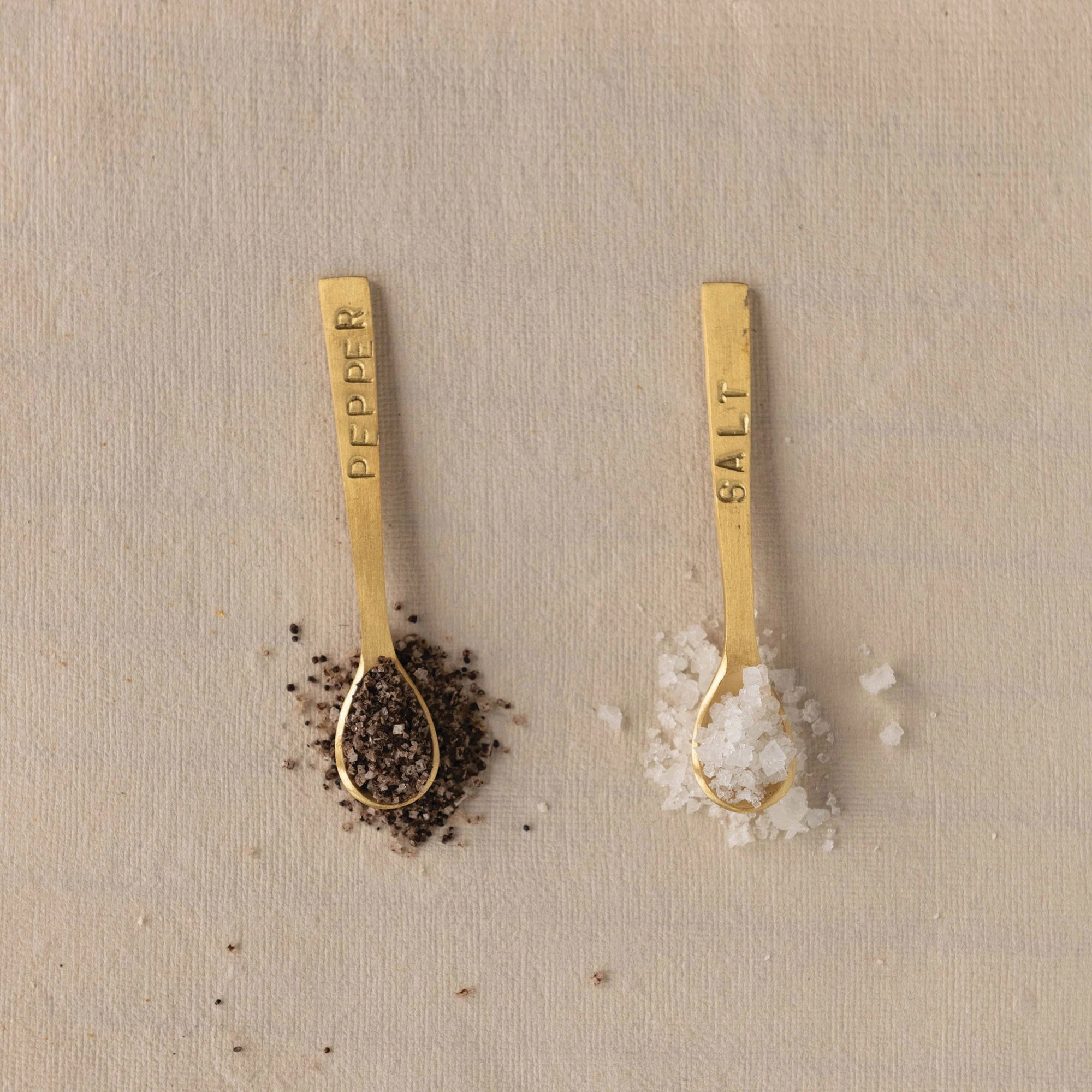 Salt & Pepper Spoon Set - Box Turtle