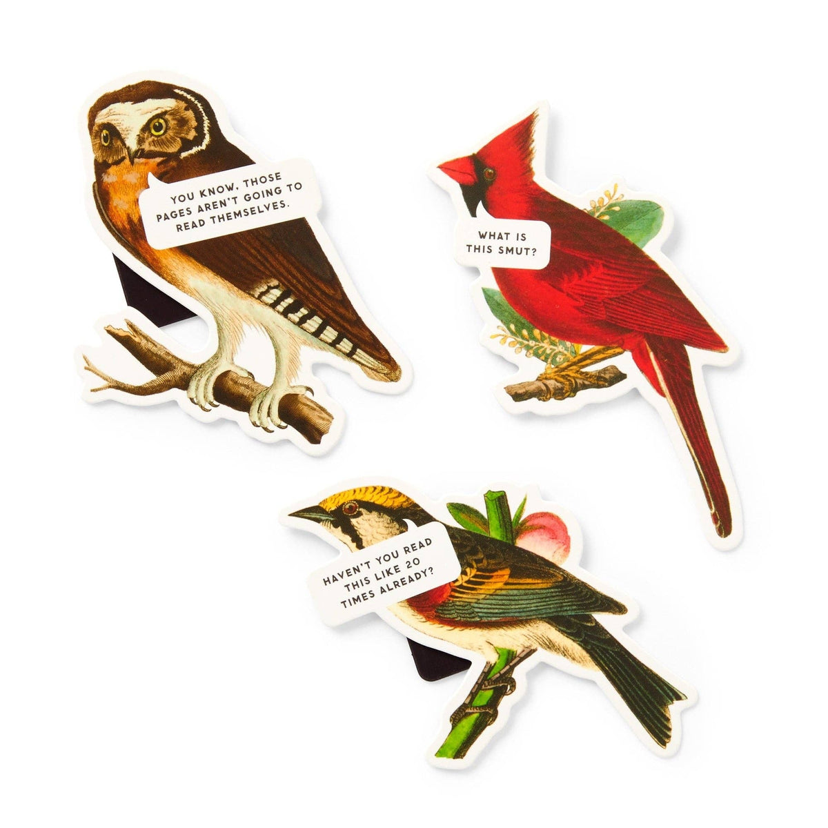 Salty Birds Magnetic Bookmark Set - Box Turtle