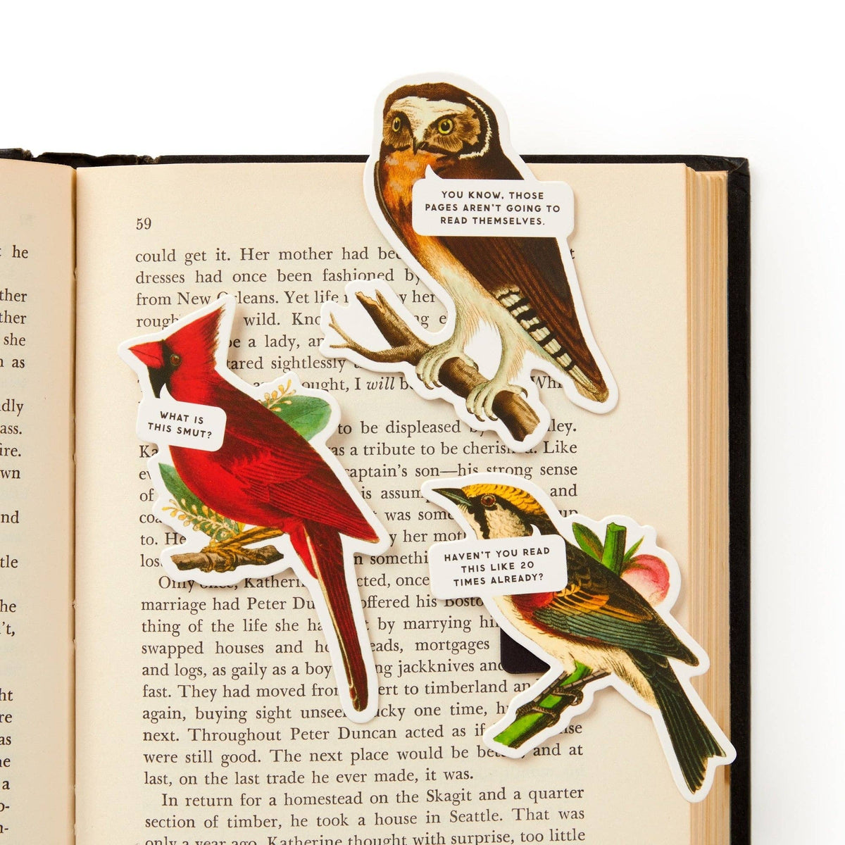 Salty Birds Magnetic Bookmark Set - Box Turtle