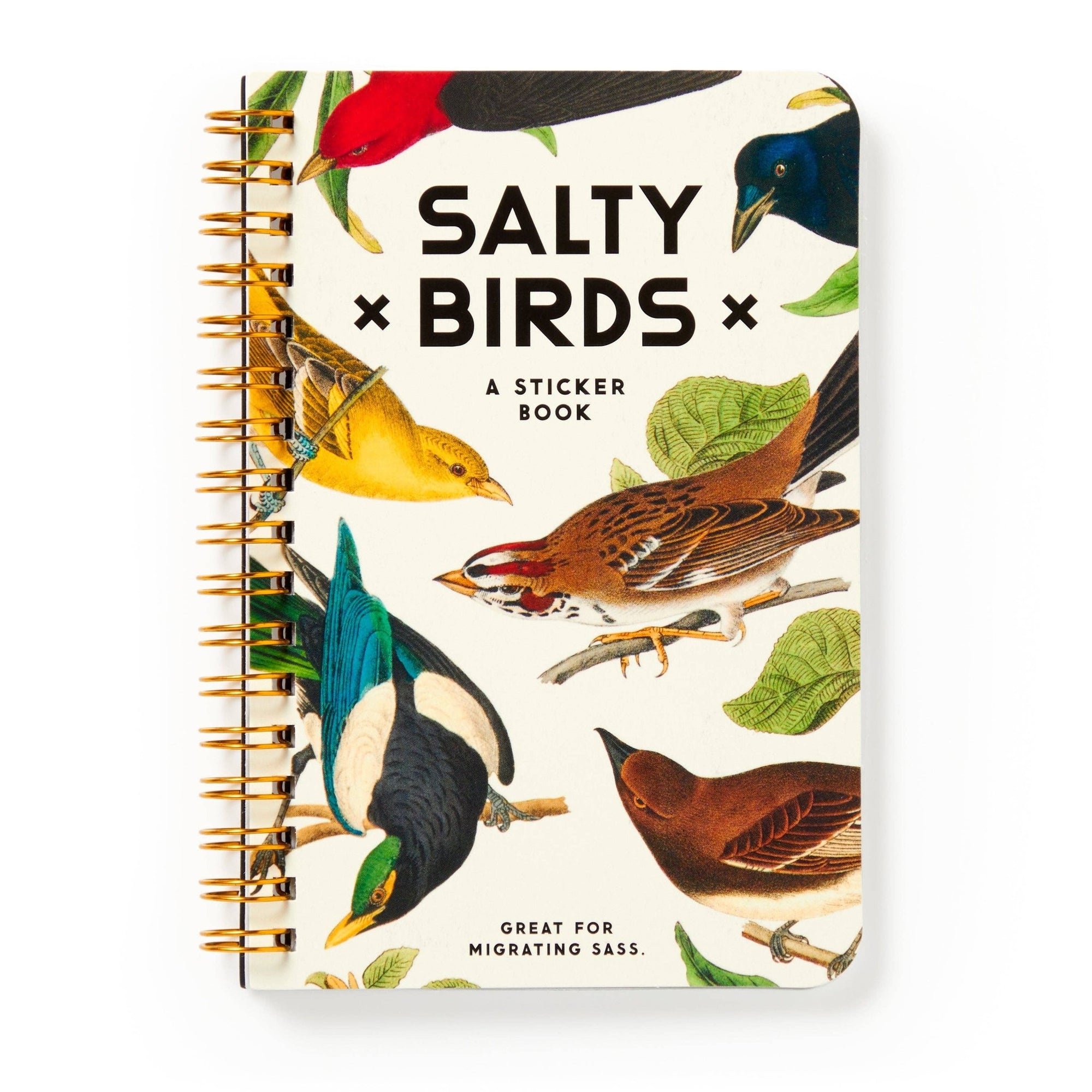 Salty Birds Sticker Book - Box Turtle