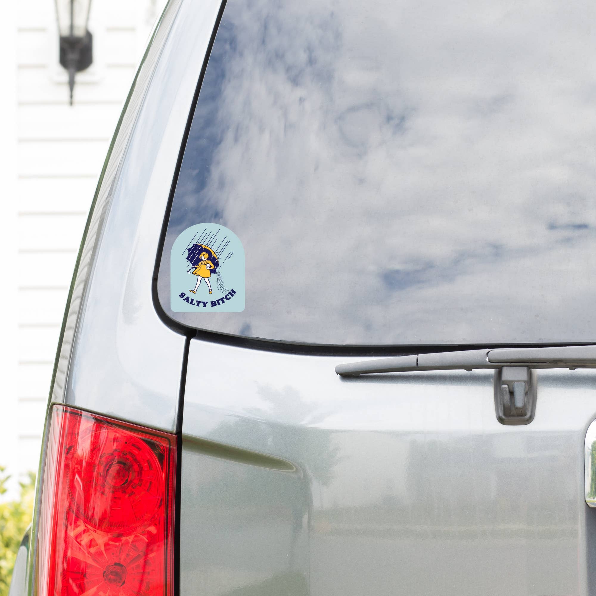 Salty Bitch Vinyl Sticker - Box Turtle