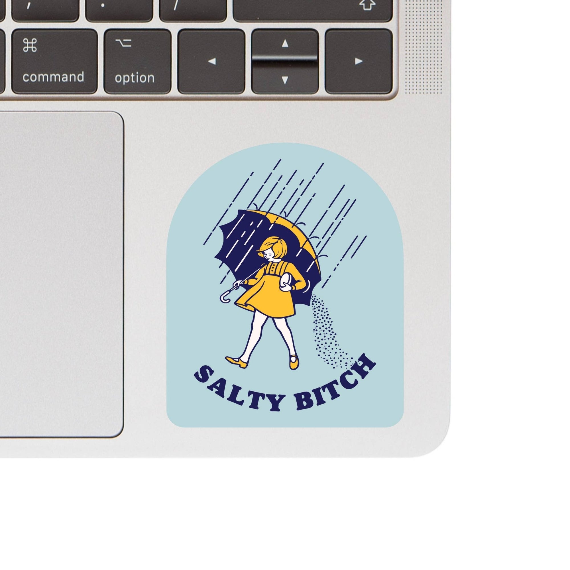 Salty Bitch Vinyl Sticker - Box Turtle