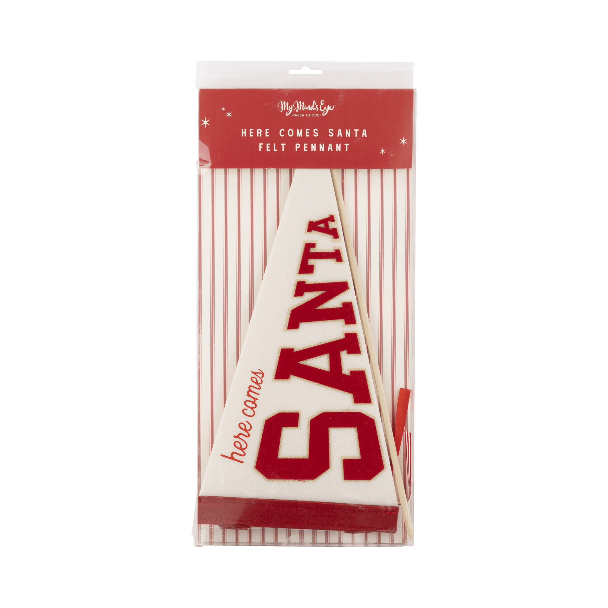 Santa Felt Pennant Flag - Box Turtle