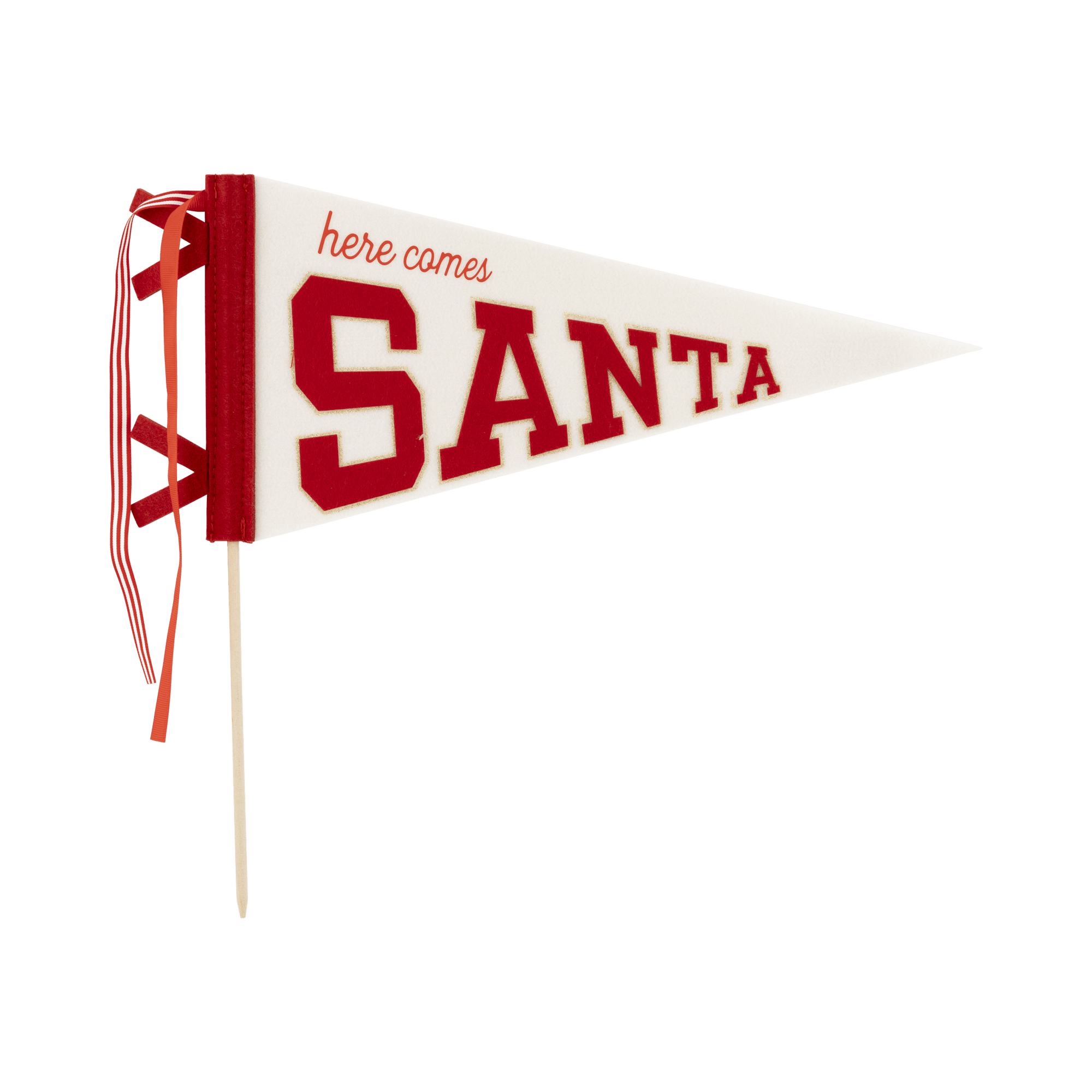 Santa Felt Pennant Flag - Box Turtle