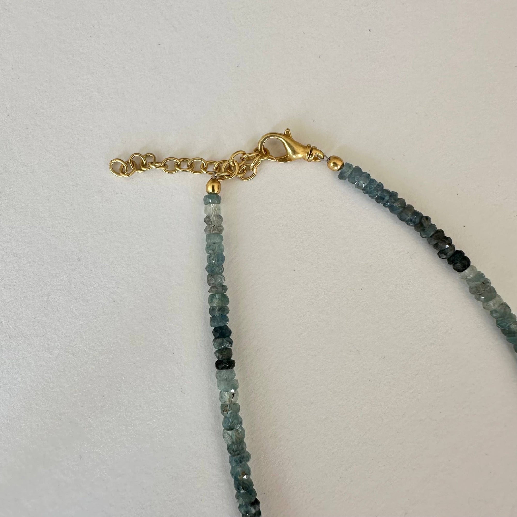 Santa Maria Aquamarine Necklace - Box Turtle