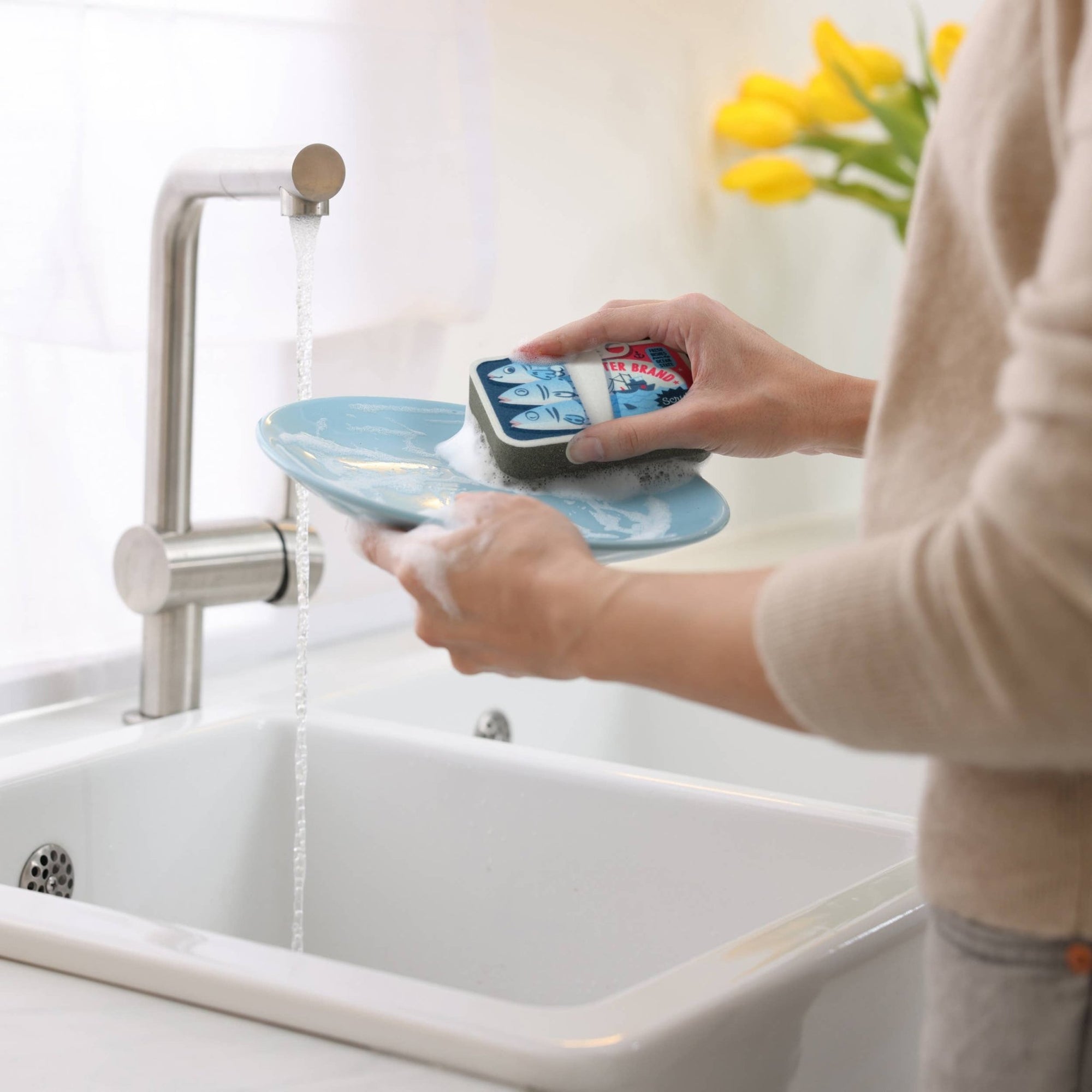 Sardine Tin Sponges - Box Turtle