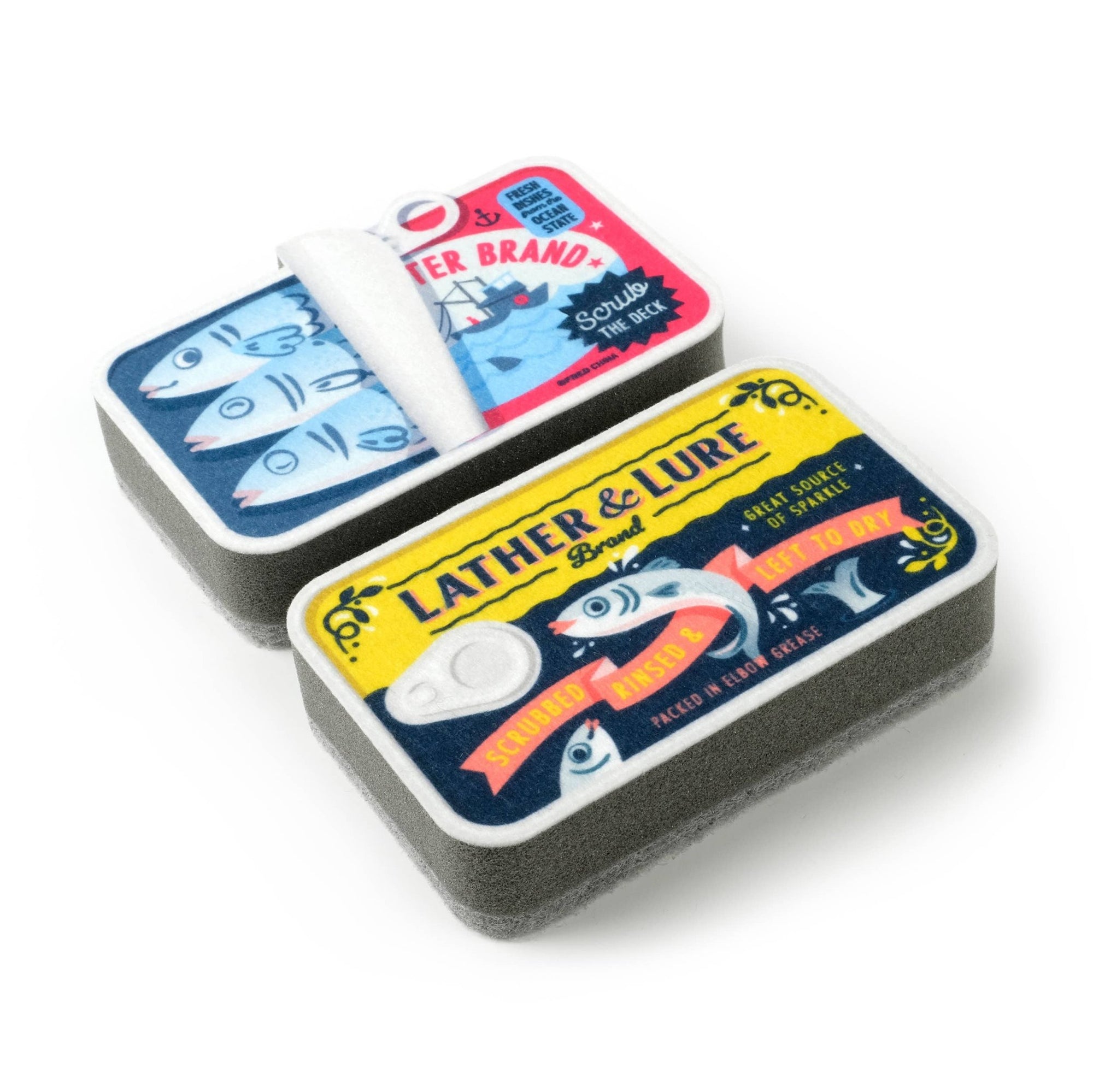 Sardine Tin Sponges - Box Turtle