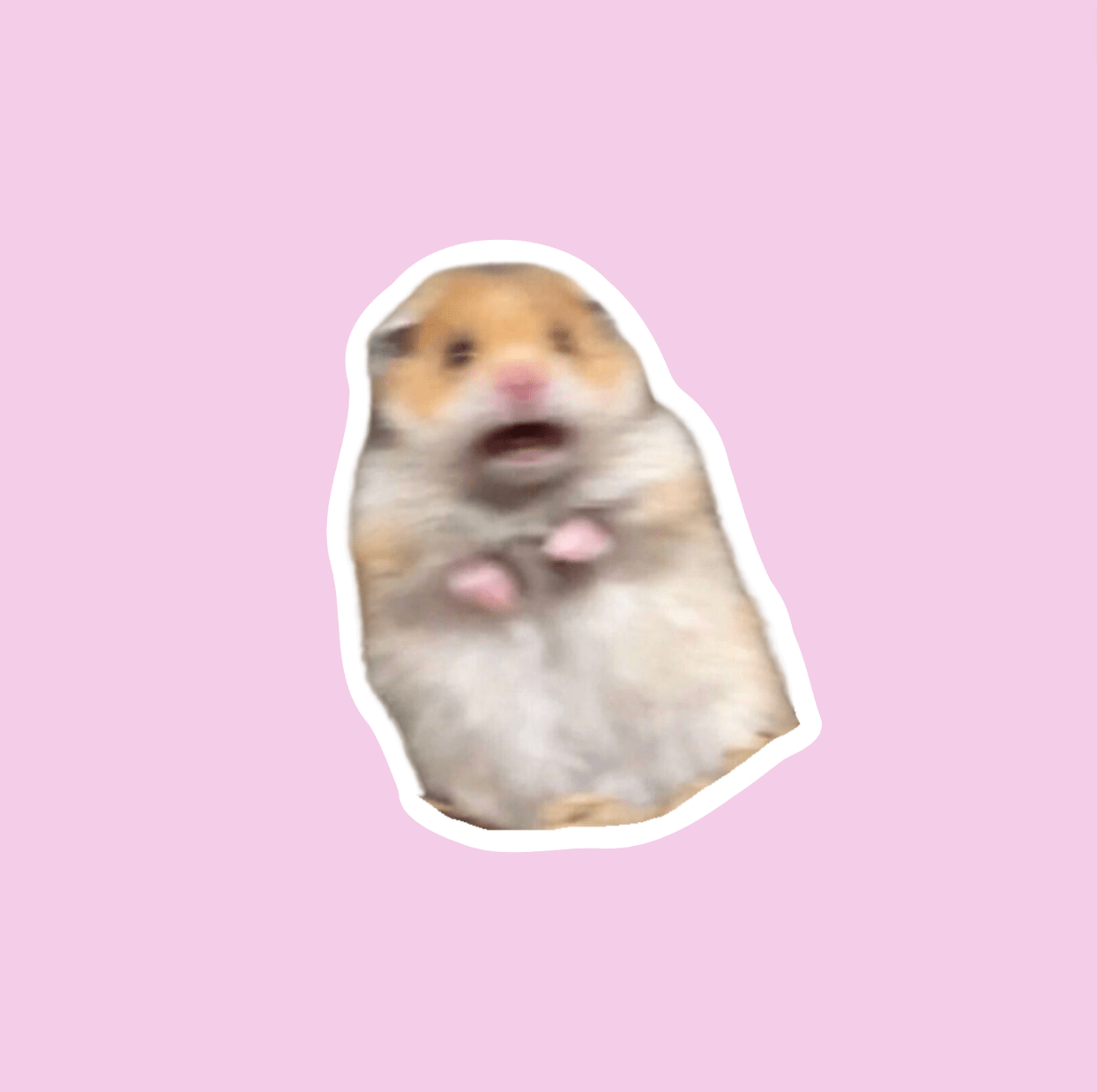 Scared Hamster Sticker - Box Turtle