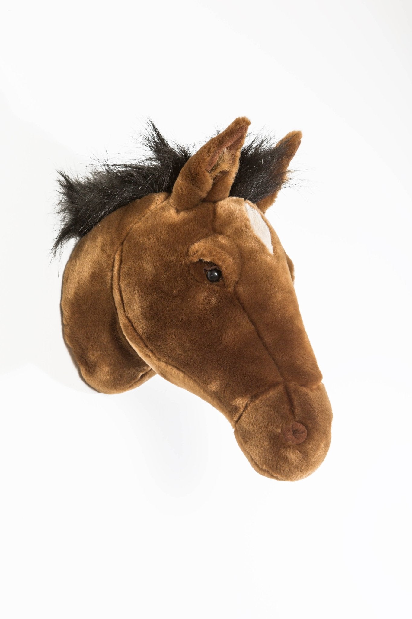 Scarlett the Horse Wall Hanger - Box Turtle
