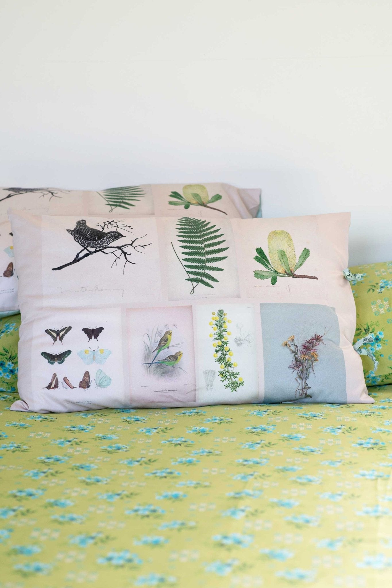 Scrapbook Pillowcase Set - Box Turtle